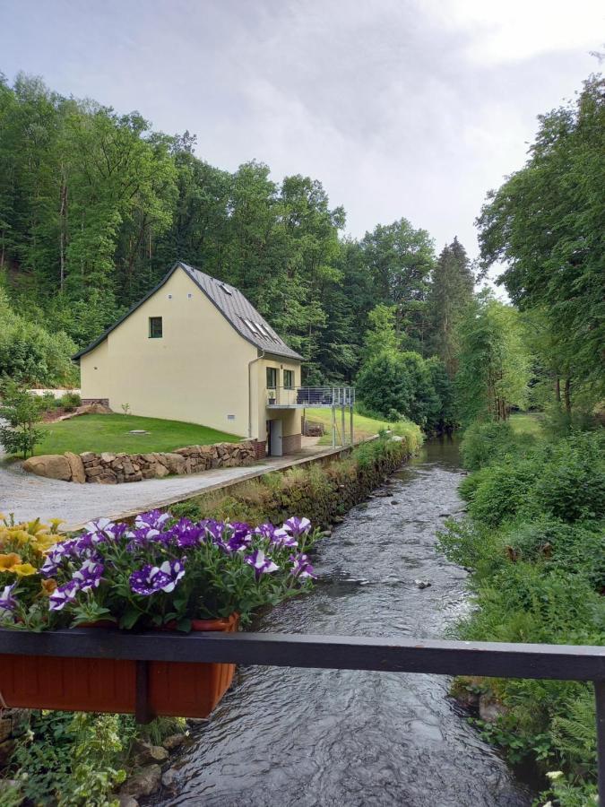Ferienhaus Buschmuehle - Stolpen Extérieur photo