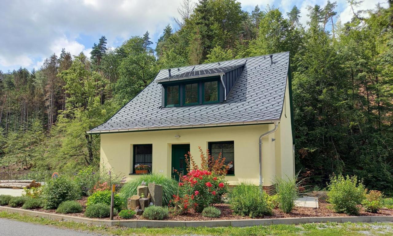 Ferienhaus Buschmuehle - Stolpen Extérieur photo