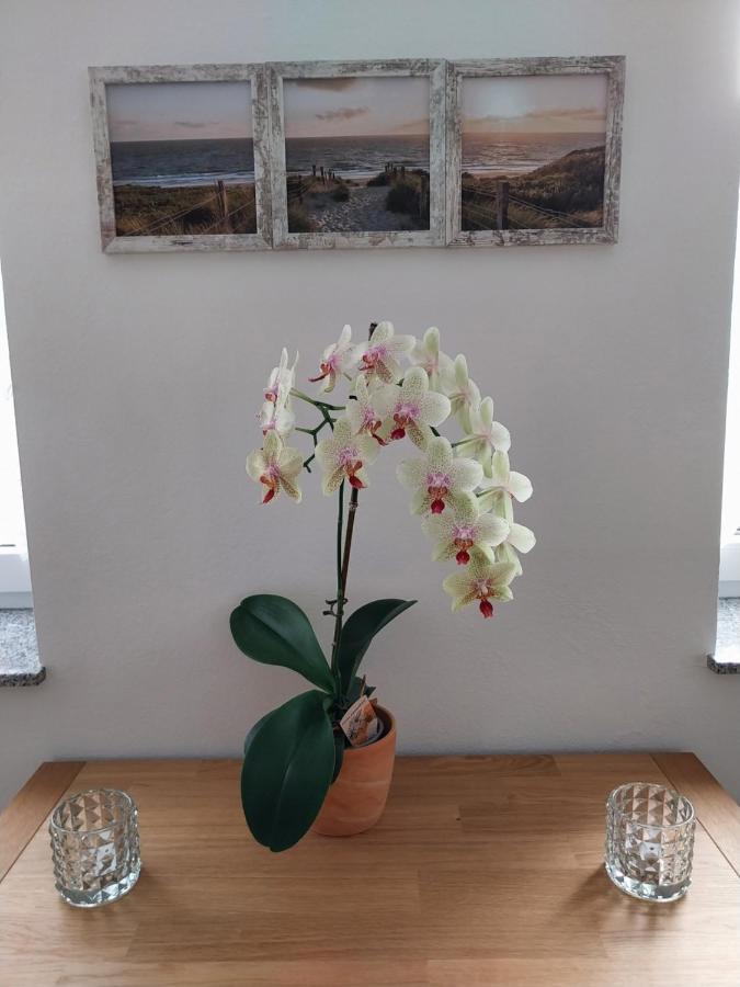 Ferienhaus Buschmuehle - Stolpen Extérieur photo